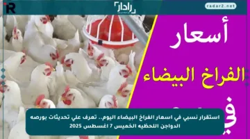 استقرار نسبي في أسعار الفراخ البيضاء اليوم.. تعرف على تحديثات بورصة الدواجن اللحظية الخميس 7 أغسطس 2025